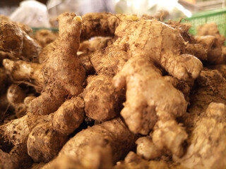 Ginger is one of the most famous herbal plants in the community. Ginger has several types, one of them is red ginger. Ginger is the most commonly used for herbal medicine because it has a sharp aroma 
