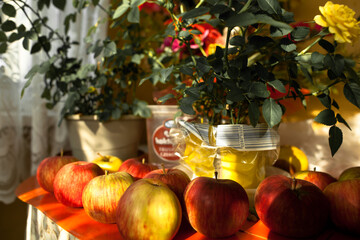 Autumn apples and rose flowers