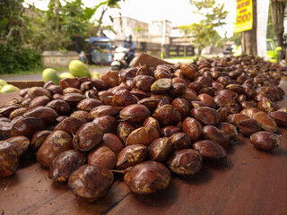 Jengkol or Jering is a species of flowering tree in the pea family, Fabaceae. It is native to Southeast Asia, where the seeds are a popular dish. They are mainly consumed in Thailand, Malaysia, Myanma
