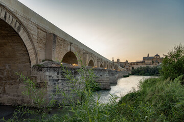 Fototapeta premium taking a walk through the city of Córdoba