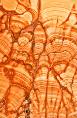 light and dark green malachite waves texture