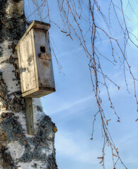 shelter for birds made by man, placed on the tree