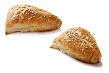 Uzbek samsa on a transparent background with a shadow