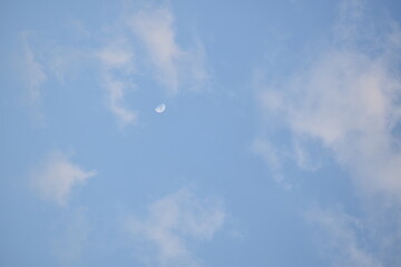 Blue sky with puffy white clouds.