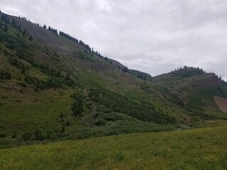 Naklejka premium colorado