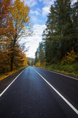Fototapeta premium Beautiful asphalt road with yellow leaves on the trees