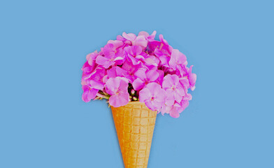 Cone with pink flowers as ice cream over a blue background