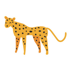 cute leopard animal on white background