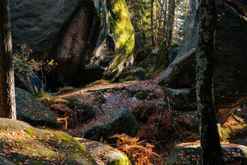 Hiking Golden Trail of Bohemian Paradise, sandstone landscape in autumn sunny day, rock formation Besednicke skaly (Besednicke rocks) above Mala Skala, Czech Republic