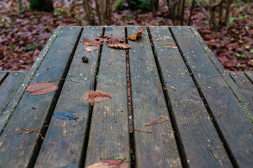 Fototapeta na wymiar wooden table in autumn rainy forest