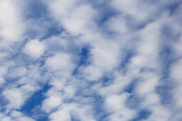 Obraz premium Clouds in the sky. White cirrus clouds on a blue sky. Clouds in motion. Summer blue sky. Clouds in perspective. Going to the horizon