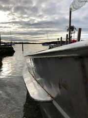 Boaty 