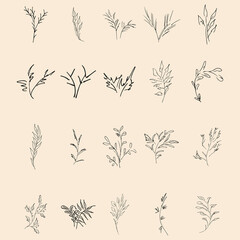 Fototapeta premium Doodle simple collection of 20 hand-drawn floral elements. Big collection of 20 hand-drawn branches. Big floral botanical set. Isolated