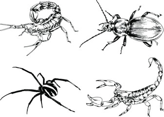 vector drawings sketches different insects bugs Scorpions spiders drawn in ink by hand , objects with no background	