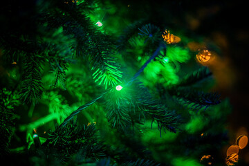 Fototapeta na wymiar Green Christmas Lights