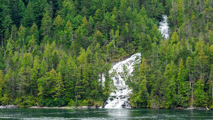 waterfall in the forest