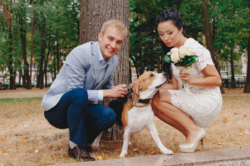 Happy husband and wife at the wedding with the howling dog. Wedding photo. A man in a suit and his...