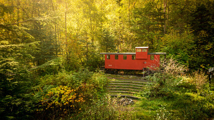 caboose in the woods