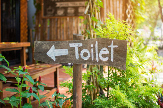 Toilet Text On Wood Against Plants