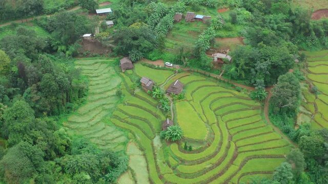 Rice Terraces in Doi inthanon national park in chiang Mai province, Thailand