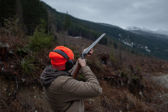 A mean wearing a jacket, blaze orange hat and ear protection holds an old double barrel shotgun, aiming and shooting at orange clay pigeons to practice. Pump action shotgun with a wooden stock.