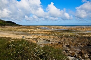 landscape with river