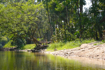 Obraz premium wooden bridge over the river