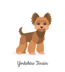 Yorkshire terrier. Vector illustration of cute little brown dog in flat style. Isolated on white - obrazy, fototapety, plakaty