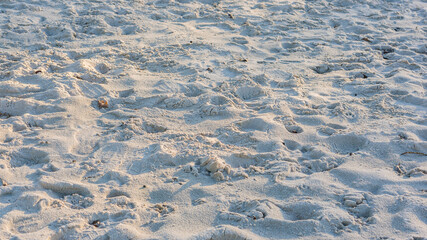 close up footprints in the sand