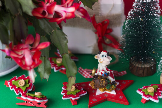 Figurine of a bull in the image of Santa Claus, surrounded by Christmas trees, a gift box and a red Schlumbergera. Symbol of 2021, new year background