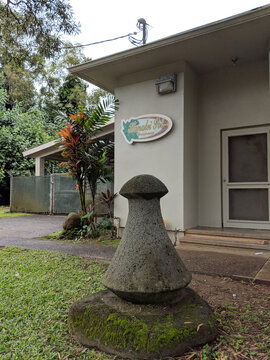 Large Poi Pounder Outside The Hanalei Poi Factory