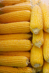 yellow corn on the cob