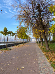 Fototapeta premium autumn in the park