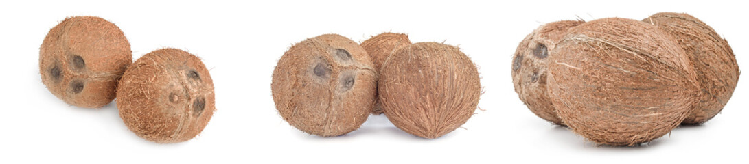 Set of coconut isolated on a white background