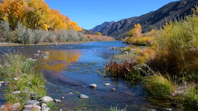 Beautiful autumn colors on  Rio Grande river flowing through New Mexico