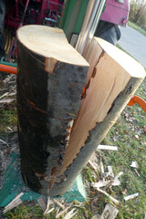 Brennholz  in Scheite spalten