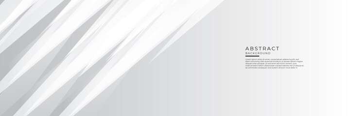 Obraz premium Grey white abstract background geometry shine and layer element vector for presentation design. Vector illustration design for corporate business presentation, banner, cover, web, flyer, card, poster
