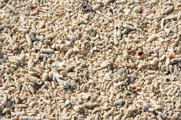 coral beach sand, broken corals texture on the sea beach
