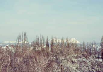 Winter urban frosty landscape - snow covered trees on foggy background