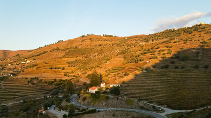 Autumn in Douro Valley, Portugal