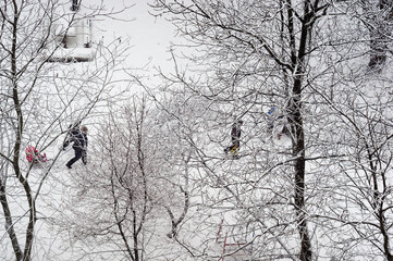 Winter urban frosty landscape - snow covered trees on foggy background