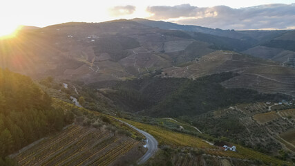 Obraz premium Autumn in Douro Valley, Portugal