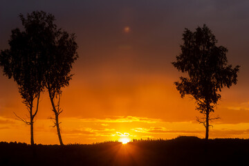 Obraz na płótnie Canvas Sunset backlight 1