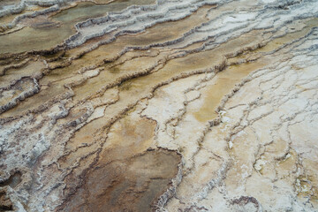 Close up view of the mineral terraces formed at Mammoth Hot Springs in Yellowstone National Park. Useful for abstract backgrounds