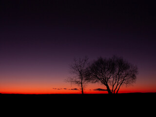 Obraz na płótnie Canvas Horizontal landscape photo of a black silhouettes of couple of naked trees in autumn at twilight after sunset against dark violet sky