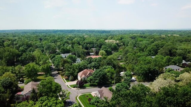 Aerial View of Trees Surrounding the Suburban Landscape Near Alpine New Jersey