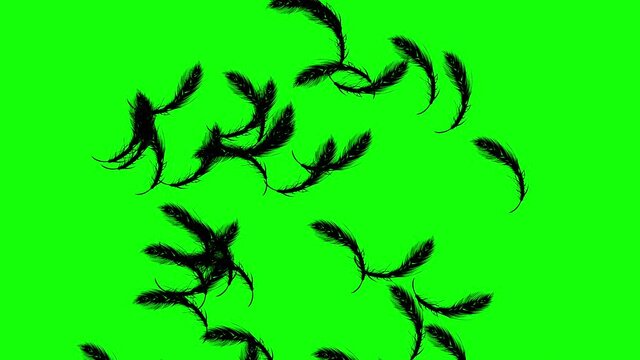 animation of cartoon bird wings in motion