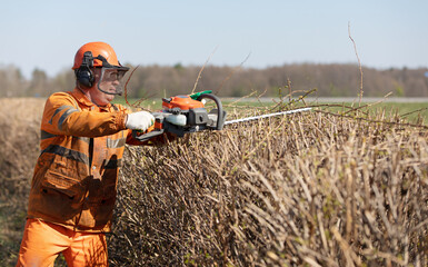Hedge Cutting Services. Professional Landscaper Gardener Man Worker in Uniform and Hearing...