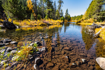 Obraz premium A mountain Autumn scenery along Cold Stream in Northern California.