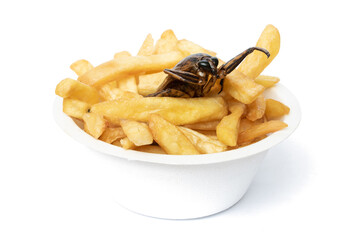 The offer of a fast food with edible insects. A fried Giant Water Bug - Lethocerus indicus with french fries in cup.